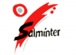 Heinemann internationale Schulberatung – Logo Salminter