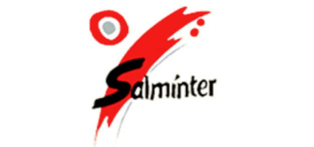 Salminter_Logo_schmal Heinemann internationale Schulberatung – Logo Salminter
