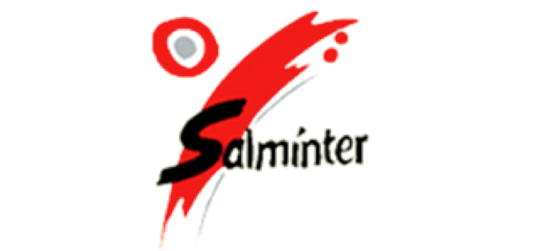 Heinemann internationale Schulberatung – Logo Salminter